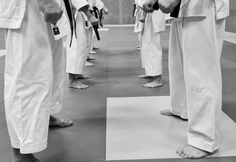 Karate ka gegenüber
